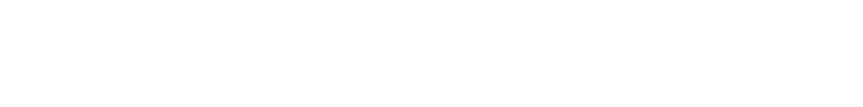 CUSTOM08