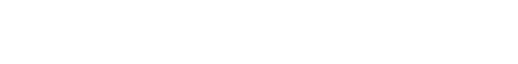 CUSTOM10